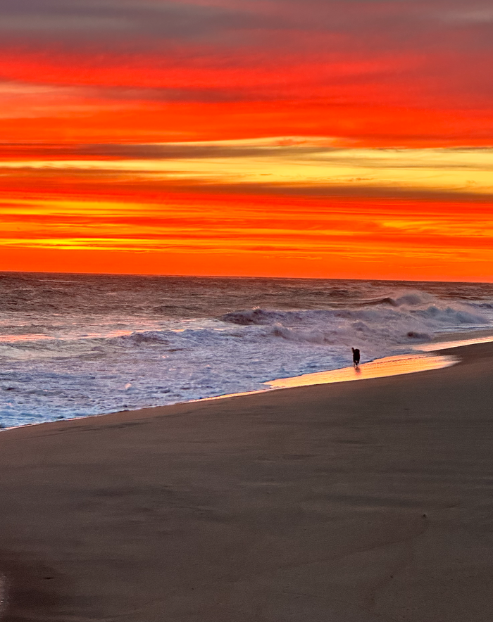 Guide to Nantucket